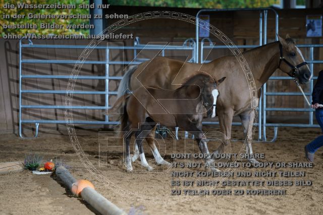 s_K3F04770.JPG